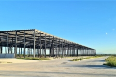 WhatsApp-Image-2020-08-10-at-07.53.56